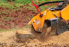 Best Hazardous Tree Removal  in Merritt Park, NY